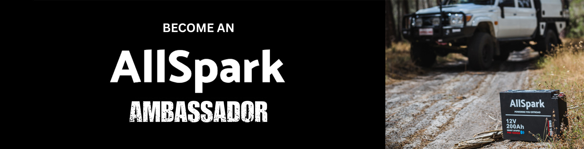 Ambassador Banner