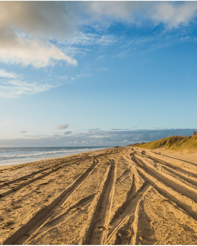 4WD tyre tracks across a beach at sunset