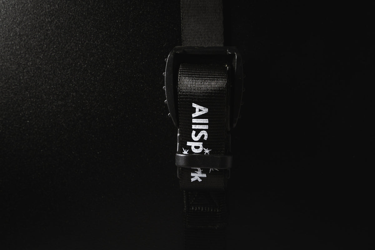 AllSpark Cam Buckle Tie Down Strap - 2.0M long