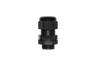 GLAND20