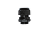 GLAND25
