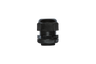 GLAND32